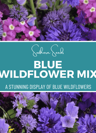Blue Wildflower Seed Mix – 100 Seeds