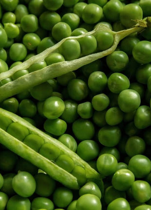 Early Frosty Peas – 25 Seeds