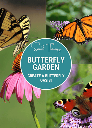 Butterfly Garden Seed Collection – 10 Varieties