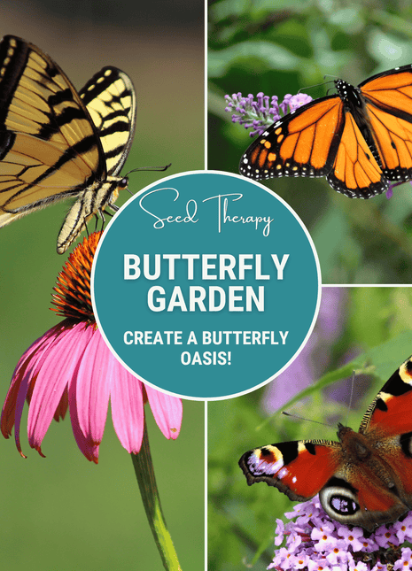 Butterfly Garden Seed Collection – 10 Varieties