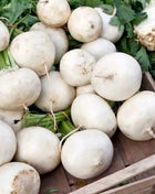 Detroit White Beet – 200 Seeds