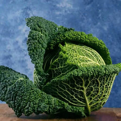 Collection image for: Cabbage