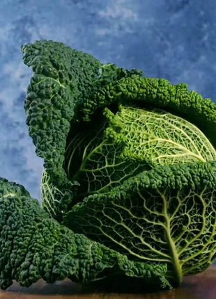 Savoy Cabbage – 100 Seeds