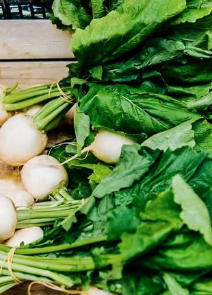 Detroit White Beet – 200 Seeds