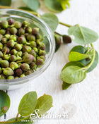 Caper Bush – 10 Seeds