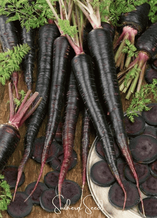 Black Nebula Carrot – 250 Seeds