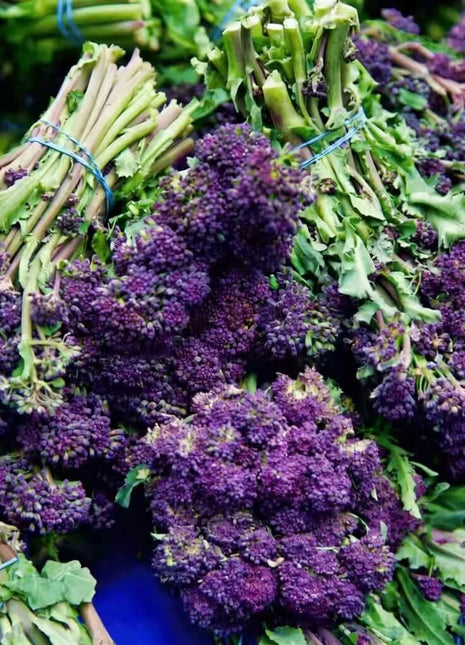 Purple Sprouting Broccoli – 100 Seeds