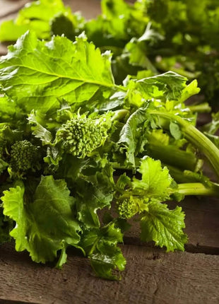 Rapini Raab Broccoli – 100 Seeds