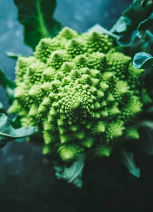 Romanesco Broccoli – 100 Seeds