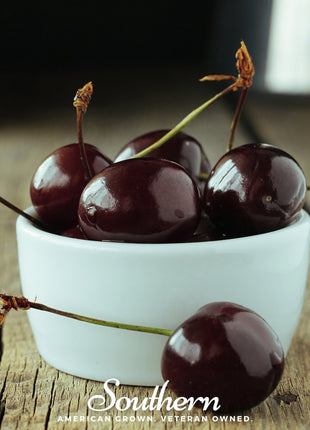 Black Cherry – 15 Seeds