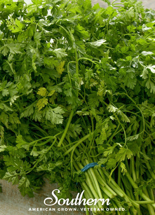 Curled Chervil – 200 Seeds