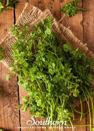 Curled Chervil – 200 Seeds