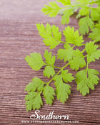 Flat Chervil – 200 Seeds