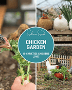 Chicken Treats Seed Collection – 10 Varieties