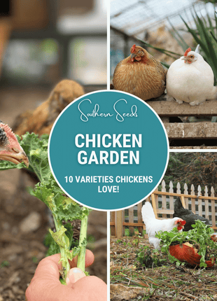 Chicken Treats Seed Collection – 10 Varieties