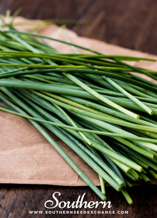 Chives – 100 Seeds