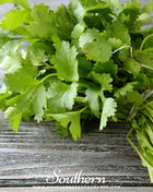Santo Cilantro – 100 Seeds