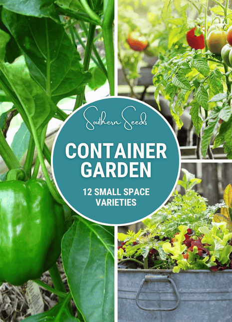 Container Garden Seed Collection – 12 Varieties