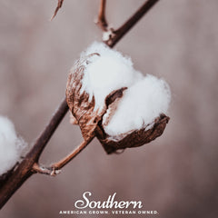 Collection image for: Cotton