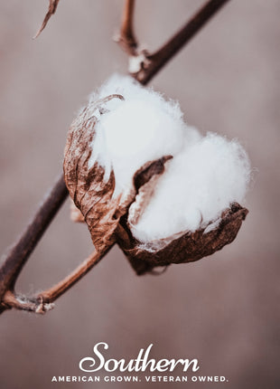 Upland Cotton – 20 Seeds