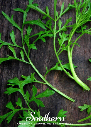 Curled Cress – 200 Seeds