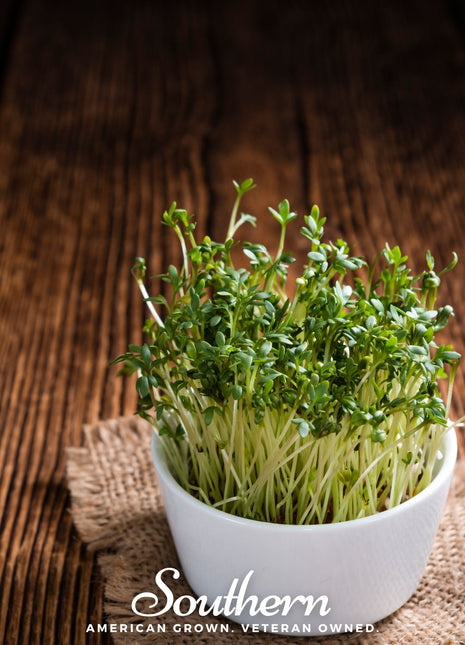 Pepper Cress – 500 Seeds