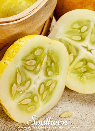Lemon Cucumber – 30 Seeds