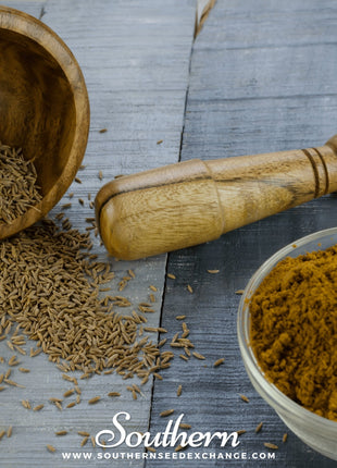 Cumin – 100 Seeds