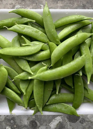 Sugar Snap Peas – 20 Seeds