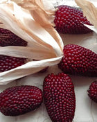 Strawberry Corn – 30 Seeds