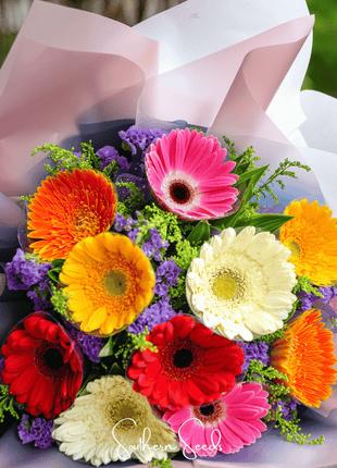 Gerbera Daisy Mix – 20 Seeds