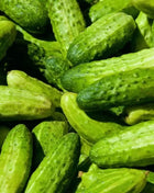 National Pickling Cucumber – 30 Seeds