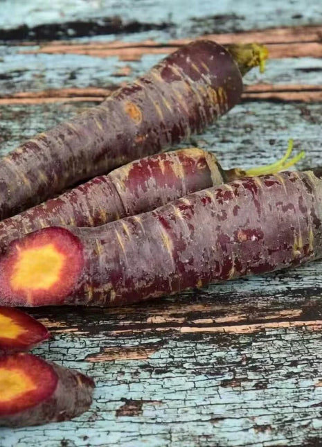 Cosmic Purple Carrot – 250 Seeds