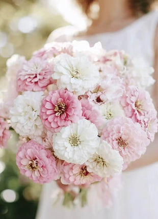 Blushing Bride Zinnia Mix - 100 Seeds