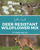 Deer Resistant Wildflower Seed Mix (15 Varieties) – 1,000 Seeds