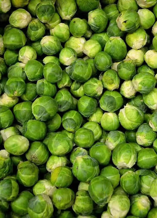 Long Island Improved Brussels Sprouts – 250 Seeds