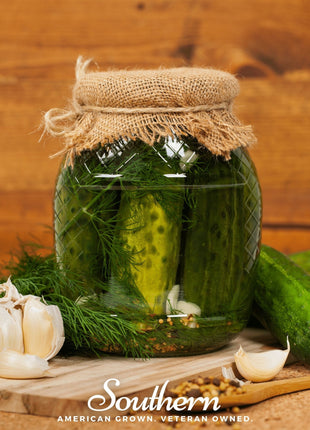 Dukat Dill – 100 Seeds