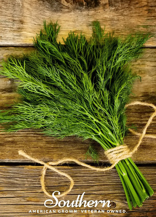Dukat Dill – 100 Seeds