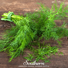 Collection image for: Dill