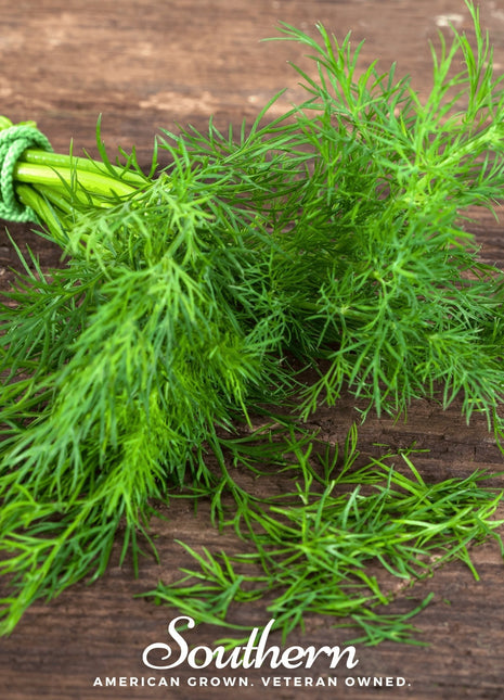 Dukat Dill – 100 Seeds