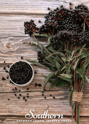 Dried Elderberry – 1 cups