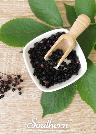 Dried Elderberry – 1 cups