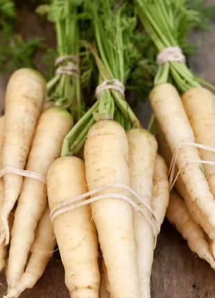 Lunar White Carrot – 250 Seeds