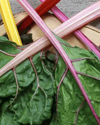 Rainbow Swiss Chard – 150 Seeds