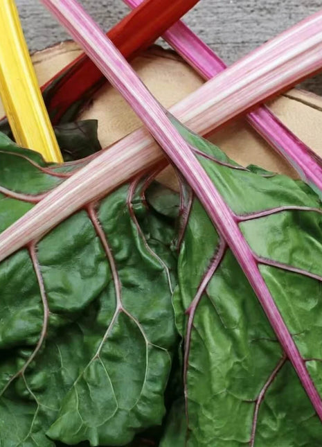 Rainbow Swiss Chard – 150 Seeds