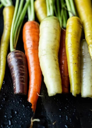 Rainbow Carrot – 100 Seeds