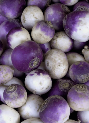 American Purple Top Rutabaga – 200 Seeds