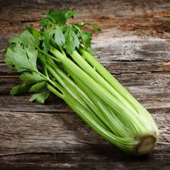 Collection image for: Celery