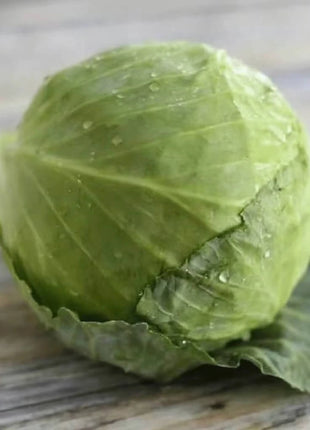Golden Acre Cabbage – 100 Seeds