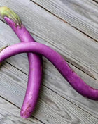 Long Purple Eggplant – 50 Seeds